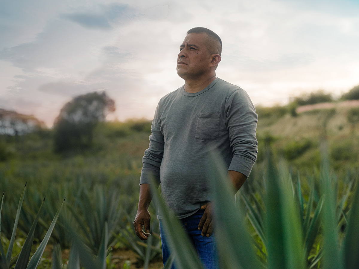 ESFUERZO MEZCAL detail 1